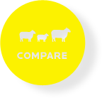 Compare